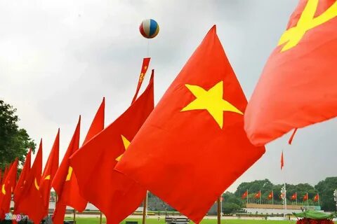 Phấn khích nhìn thấy hồ bơi khách sạn, cậu bé lao qua cửa kính, bị thương nặng