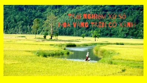 Xem trực tiếp đội tuyển Việt Nam đấu Werder Bremen trên kênh nào?