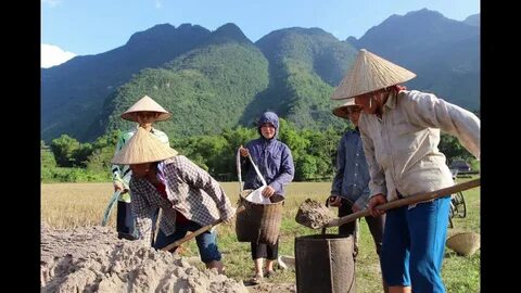 Mùa hè nấu 3 món ăn màu đỏ này để tăng sức đề kháng, không lo ốm vặt